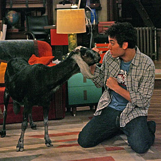 Trivia Quiz on How I Met Your Mother Trivia Quiz on How I Met Your Mother