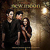 Death Cab For Cutie's Video For "Meet Me on the Equinox" From the New Moon Soundtrack