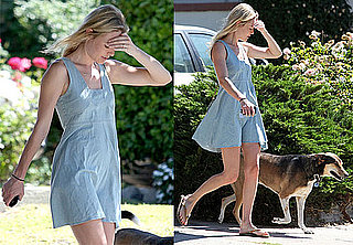 Photos of Kate Bosworth Walking Her Dog in LA