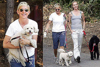 Photos of Ellen DeGeneres, Portia de Rossi Walking Their Dogs in LA