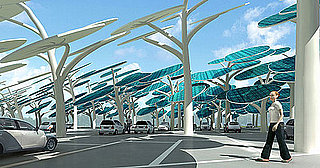 Sugar Shout Out: Take a Trip to the Solar Forest