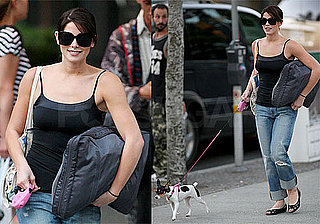 Photos of Twilight's Ashley Greene Walking Her Dog in Vancouver