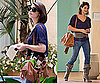 Photos of Twilight Star Ashley Greene in LA