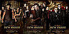 New Moon Posters Featuring Robert Pattinson Embracing Kristen Stewart, Taylor Lautner and Wolves, Dakota Fanning and Volturi