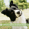 5 iPhone Apps For Pets' Cheap Thrills