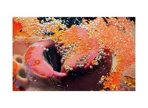 Photographer Marilyn Minter's Short Film For Madonna