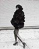 Naomi Campbell To Model in Dennis Basso's Fall 2009 Fur Ad Campaign