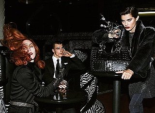 Fab Ad: Roberto Cavalli, Fall '09 