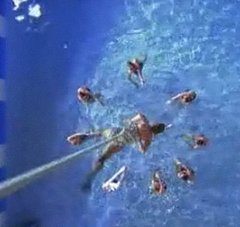 FABTV: Red Hot Chili Peppers "Aeroplane" FABTV: Red Hot Chili Peppers "Aeroplane"