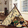 Backyard Camping