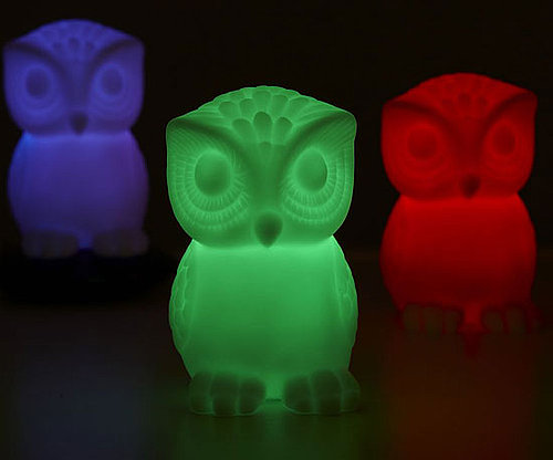 Whoooooo's Out There? Whoooooo's Out There?