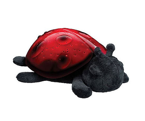 Light 'Em Up Ladybug Light 'Em Up Ladybug