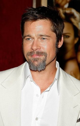 It's a Bird, It's a Plane, It's Brad Pitt!