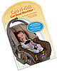 Preventing Children's Car Deaths