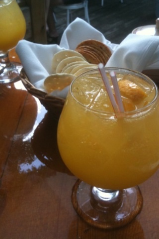 Mimosa