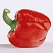 Red Bell Pepper