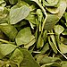 Spinach 