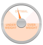 Measure Up: BMI vs. Body Fat Percentage