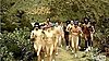 Naked Running Camp