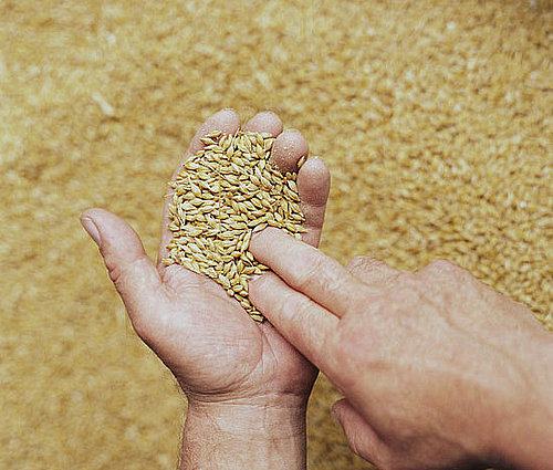 Cooking With Whole Grains