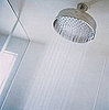 Bacteria Spewing From Your Shower Head?