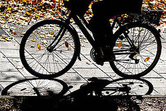 Speak Up: What's Your Fall Fitness Goal? Speak Up: What's Your Fall Fitness Goal?