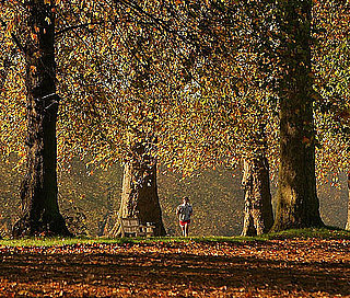 Fall Running Gear Essentials