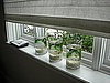 Casa Quickie: Vases as Fish Bowls