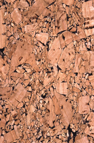 Ask Casa: Rugs For My New Cork Floors