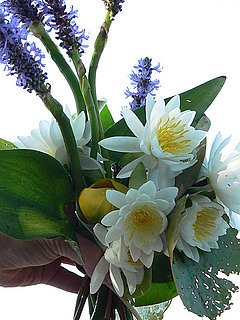 Cool Idea: A Bouquet of Water Flowers 