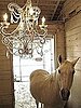 Crave Worthy: Petrea Chandelier