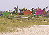 Love It or Hate It? Neon Beach Shacks