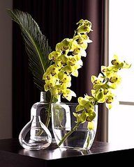Do You Decorate With Cut Orchids? Do You Decorate With Cut Orchids?