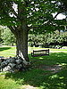 Do You Have a Swing on Your Property?