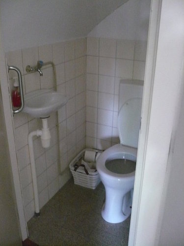 Before and After: A Dull Bath Blossoms