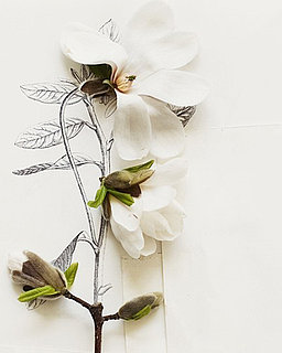 Photographer to Watch: Kari Herer