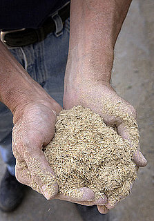 Casa Verde: Quaker Oats Fuel This School
