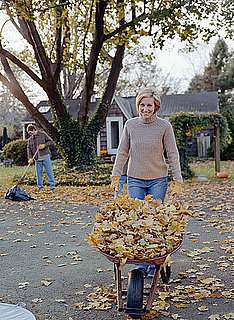 Casa Quickie: Mulch Your Fall Leaves