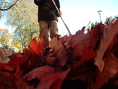 Open House: Least Favorite Fall Chores Open House: Least Favorite Fall Chores