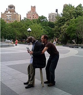 Dog Photo Shoot in Washington Square Park in New York City