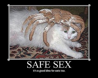 Fact or Fiction: Can You Spot the Sex Myths?