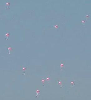 Tampons Descend on Unsuspecting Sunbathers