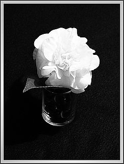 DIY Burials: Less Expensive, More Intimate? 