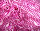 Chinese Cabbage Salad 