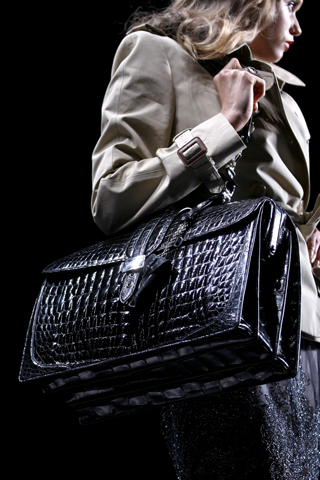 Christian Dior spring 2010
Christian Dior spring 2010