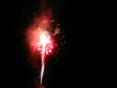 *~*4th of July Fireworks!*~*
