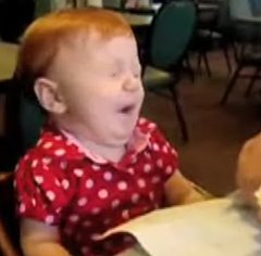 The Ultimate Baby Vs. Lemon Compilation