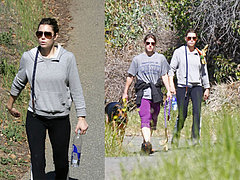 Burn Calories, Walk Your Dog and Your Dogs