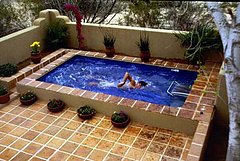 Wouldn't You Love to Swim in an Endless Pool?