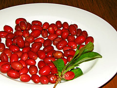 Miracle Fruit Will Get Your Taste Buds High